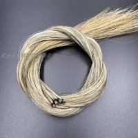 1 Bunch (7G) Color 83-85 см