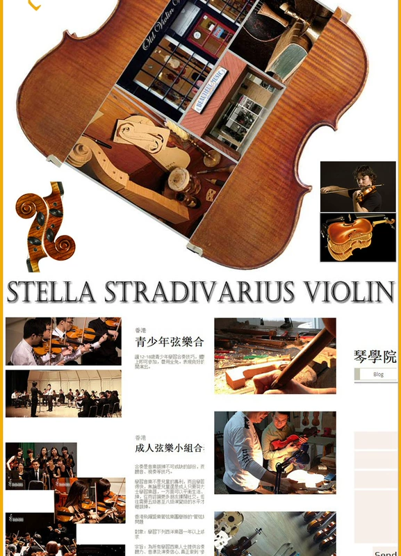 Wu Qiang Tưởng tượng sản xuất nhạc cụ, violin phong cách mắt chim Si, violin thủ công - Nhạc cụ phương Tây