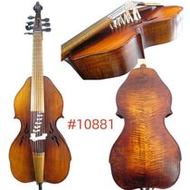 Bestwanted instrument rare baroque style 7 yards 14 string professionnel jouer violoncelle 4 4