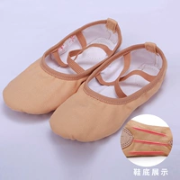 Цвет верблюда [талия -waiast] 10503