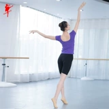 Туфли, штаны подходит для мужчин и женщин, спортивные детские шорты