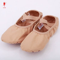 Цвет верблюда [базовая модель] 1050