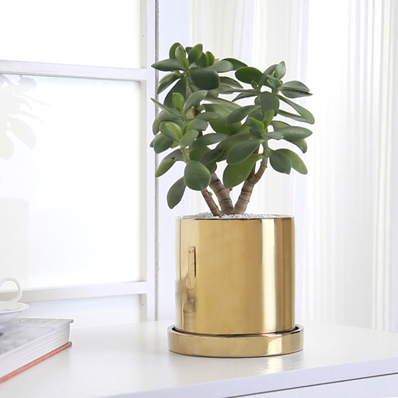 Nordic Plated Ceramic Flower Arrangement Round Vases Flower Pots Flower