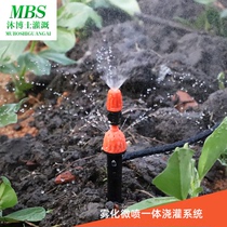 Gardening drip irrigation micro-spray adjustable ground plug spray integrated nozzle potted flower trough vegetable field automatic watering device