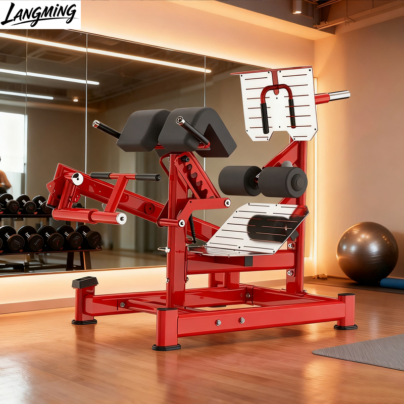 Gym Back Training Equipment Multi-Functional Roman Bench Home-Use Goat Stand Back Muscle Hip Leg Trainer Professional Complete Set Gym Back Training Equipment Multi-Functional Roman Bench Home-Use Goat Stand Back Muscle Hip Leg Trainer Professional Complete Set