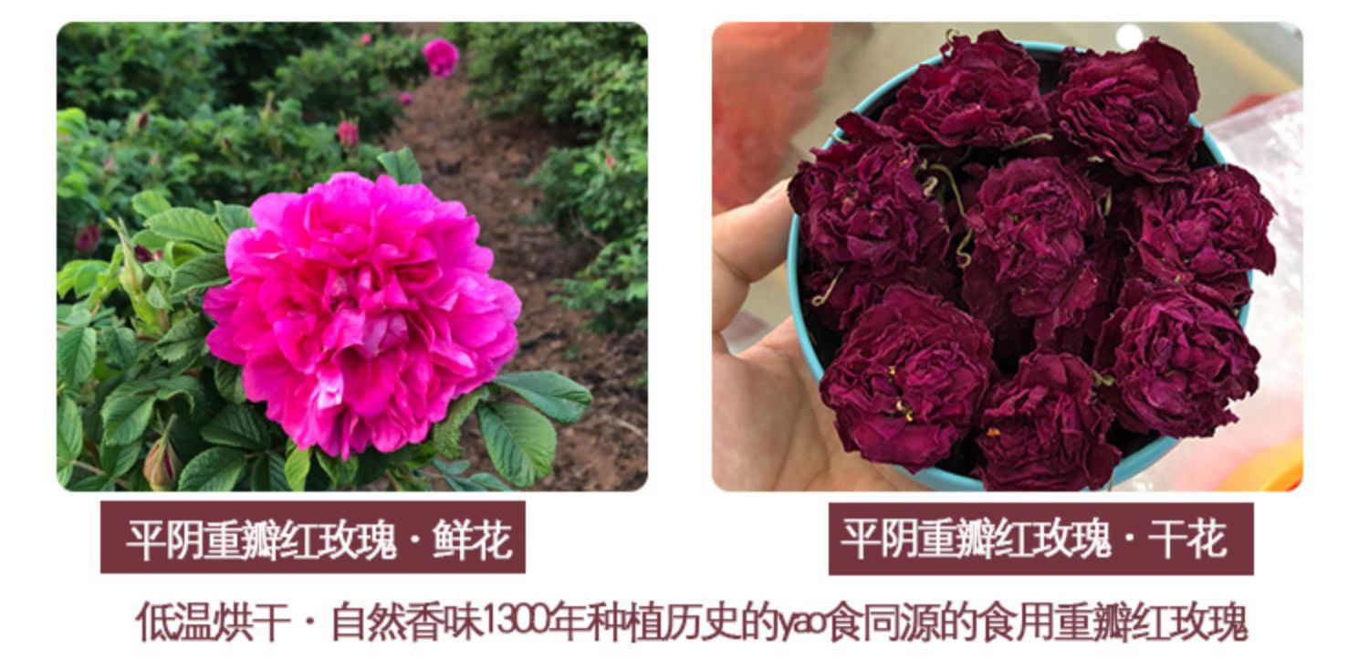 平阴无硫精品玫瑰花茶50g