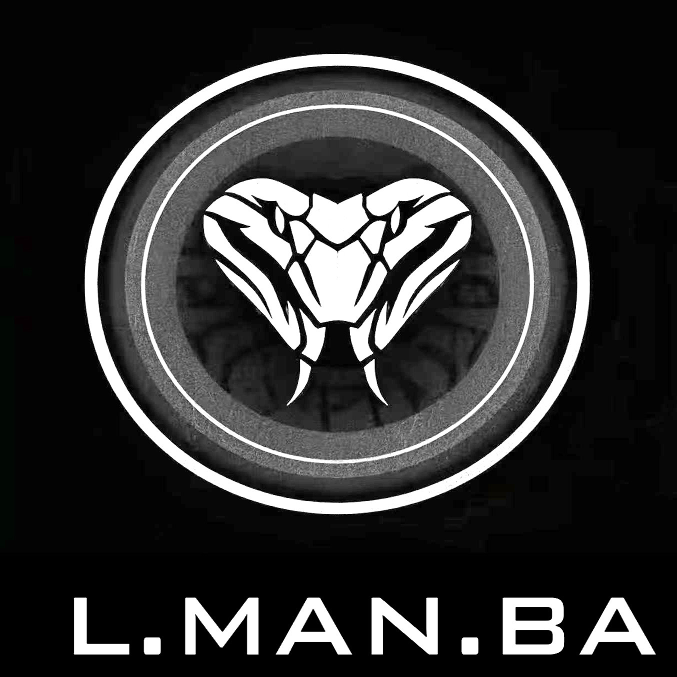 艾曼巴朗声机的LOGO