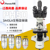 Jiangxi Phoenix genuine PH50 3A43L three-eye microscope 1600 times livestock aquaculture pork test