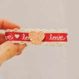 宅日梦乐 Папка с боксином домашнего питомца расчесывала большую бренду шелковую ленту Malzis yichashi xishi bb clip