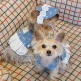 Home Day Dream Весенне-летняя новая универсальная джинсовая юбка для домашних животных во французском стиле ретро, мальтийская одежда в стиле йоркширского кота