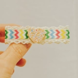 宅日梦乐 Папка с боксином домашнего питомца расчесывала большую бренду шелковую ленту Malzis yichashi xishi bb clip