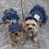 Летнее милое джинсовое кружевное платье, комплект, в корейском стиле