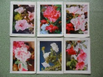 Small picture old diary folder page