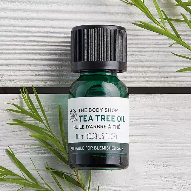 Tea Tree Oil Body Shop tbs Tea Tree Oil 10ml - Tinh dầu điều trị