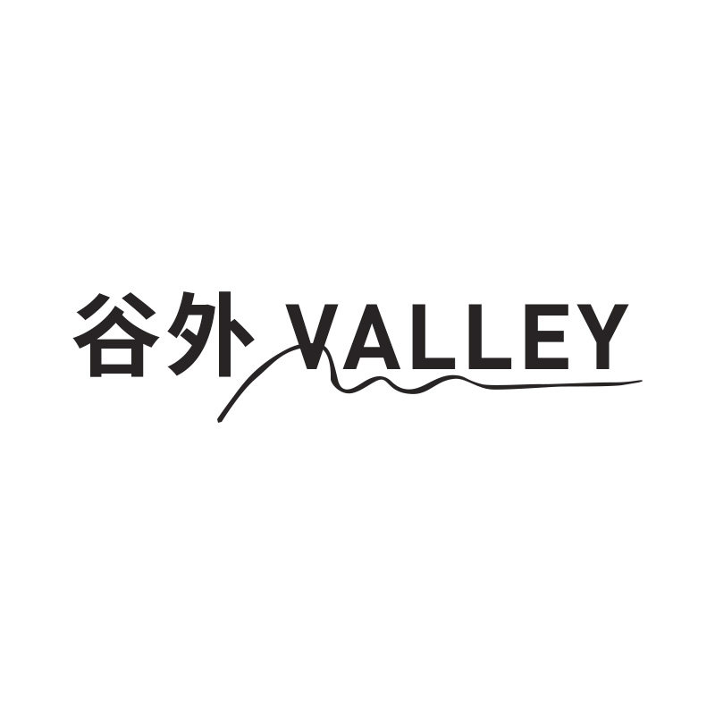 谷外Valley