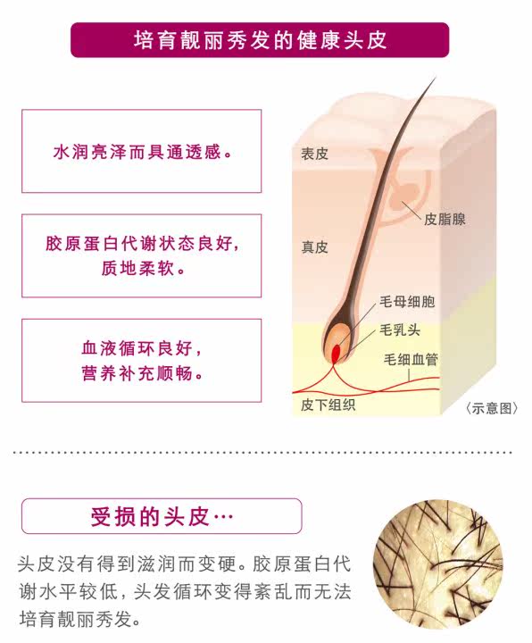 日本kanebo Lissage Vogne Hair Change Treatment頭皮控油護髮素