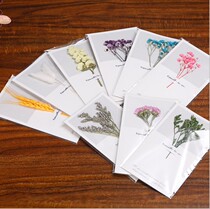Eternal Flower Birthday Card Dried Flower Mothers Day Card Customized Real Flower Thanksgiving Dragon Boat Festival Valentines Day Card