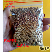 Cinq grains de grains entiers de cinq grains de couleur avec coquillages Résidence nette de grains Qiao relocalisation à la maison supérieure Upper Beam Chargement de Zang Supplies Suit Old Shop Nouveau