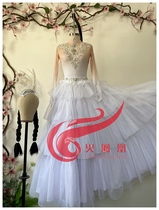 Xinjiang Kazakh Wang Yidan Beijing Dance Academy Swan Costume Costume Art Examination Customized Original Headgear