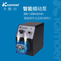 Peristaltic Pump Intelligent Metering Pump Pump Circulation Pump Micro Laboratory Small Water Pump 24V Experimental Self-priming Pump