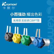 Peristaltic pump 12v micro water pump household small water pump mini self-priming pump 24v DC electric pumping circulation pump