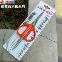 Sagawa Tian 937 thin fruit shears fruit picking shears grape shears fruit thinning fruit gardening shears picking pepper bonsai pruning shears