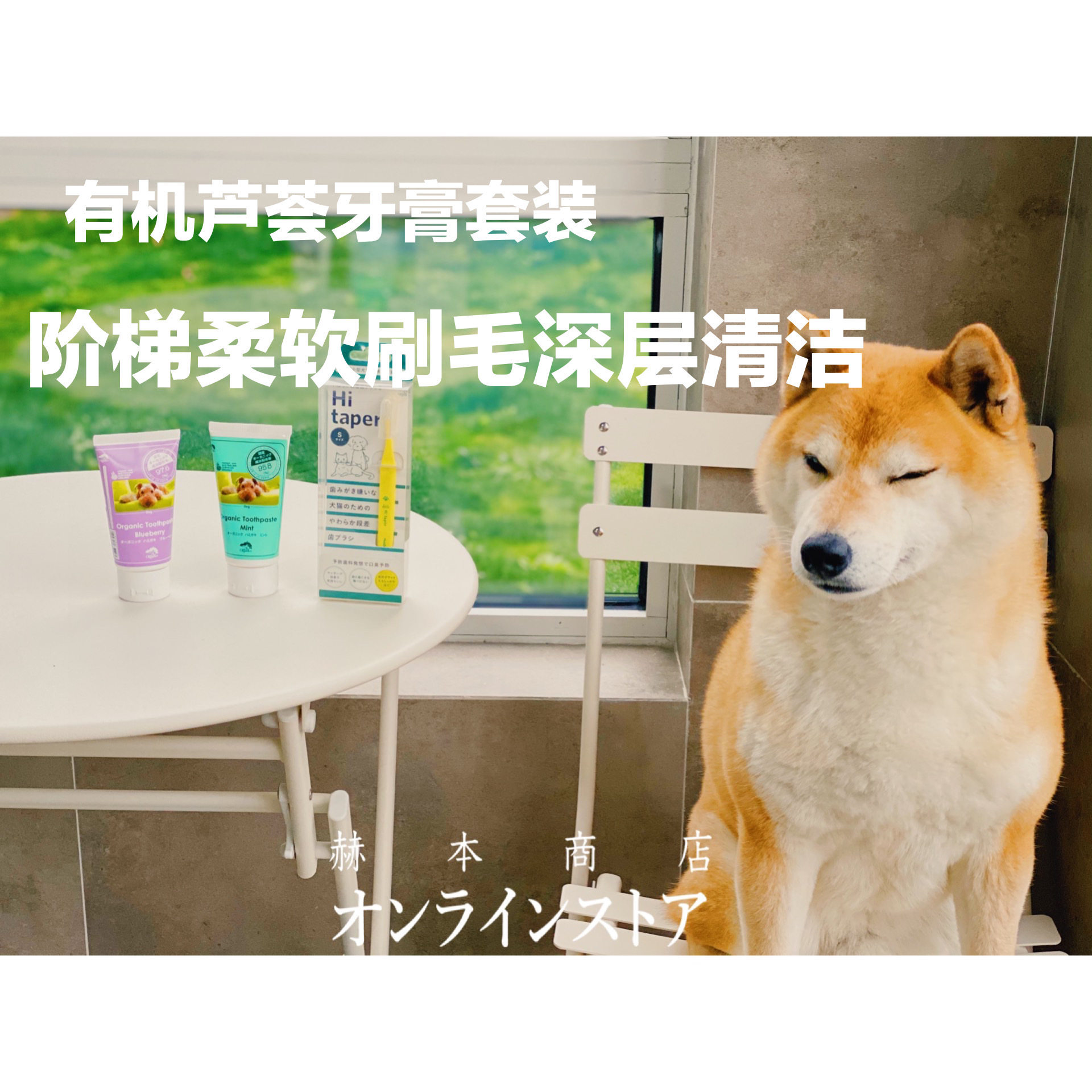 Black teeth White Japan APDC Organic Aloe Toothpaste Blueberry Mint Whitening Anti-stone Toothbrush