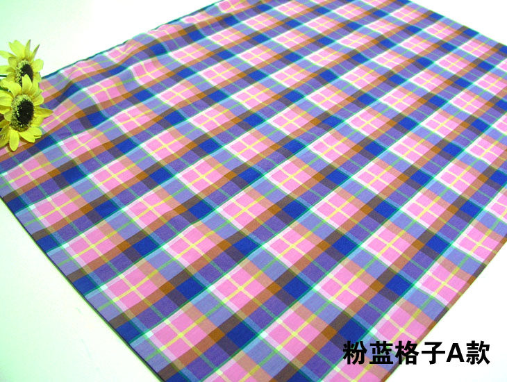 Pink Blue Grid A Model.jpg