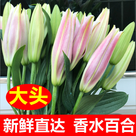 Flower bouquet Yunnan Kunming base direct hair perfume lily courier same city rose 520 Valentine's Day gift