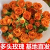 Товары от 小丸子413