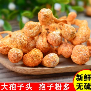 [Новинка] Сушеные цветы Cordyceps militaris, ингредиенты для супа премиум-класса, 1 котенок, 500 г, Cordyceps militaris, Золотой кордицепс