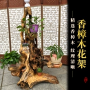 Bộ sưu tập Root Art Wood khắc hiện đại Trung Quốc Hoa đứng Gỗ Root khắc sàn Nhiều lớp trong nhà Ban công bonsai Khung - Các món ăn khao khát gốc