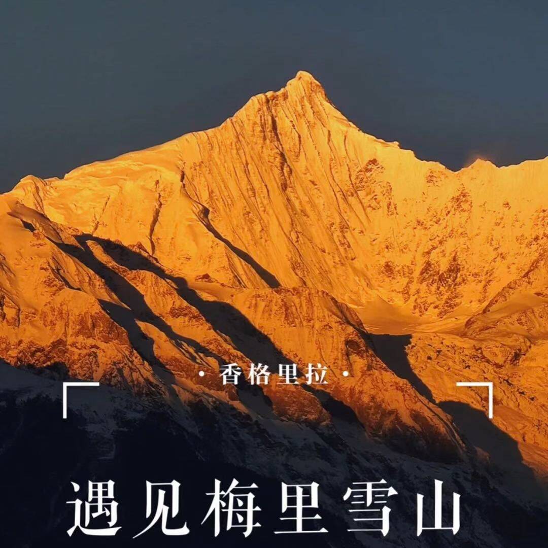 梅里雪山思想MSM