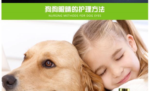Thiên thần thú cưng thuốc nhỏ mắt chó giọt gấu Teddy nước mắt mèo nhỏ giọt viêm giác mạc rửa mắt - Thuốc nhỏ mắt thuốc nhỏ mắt tobradex
