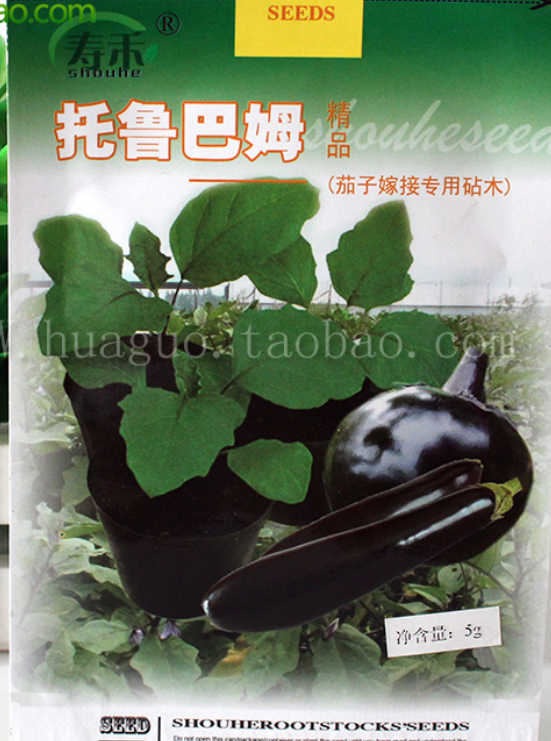 Eggplant rootstock seeds Torubam seed disease-resistant long eggplant seed greenhouses open air