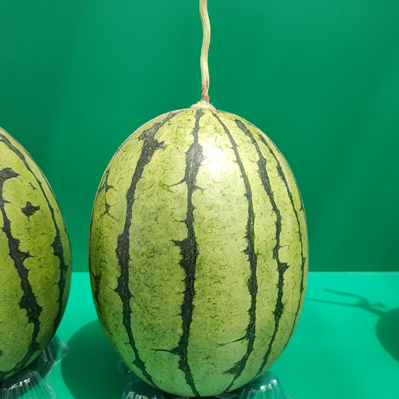 The 2K watermelon seed seed seed Gamei 4k ultra - sweet high yield ...