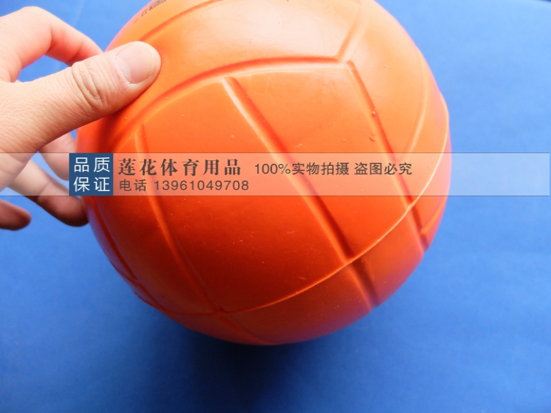 Ballon de volley - Ref 2011261 Image 13