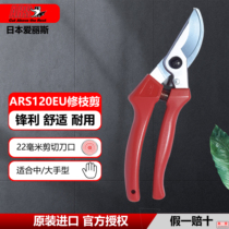 Japan Alice pruning shears ars120EU imported fruit branch shears pruning thick branch scissors fruit tree garden pruning shears