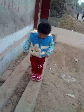 Gilet sans manche sport - Ref 541946 Image 6