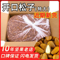 New wild northeast pine nuts extra large bulk weight weight 5kg hand peeling open red pine nuts pregnant women nut snacks