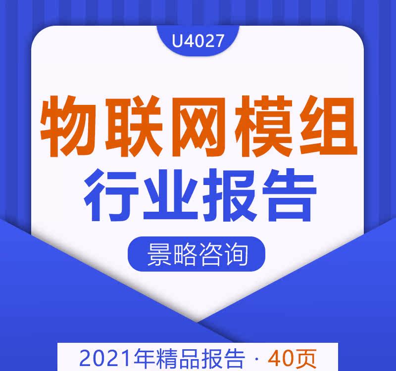 2021 Research Report on the Competitive Benefits and Modules Market Outlook for Vertical IoT modules