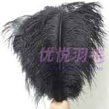 Острие перья импортированные страусные перья импортированные страусные перья 60-65 см. Стадия свадебного украшения для Южной Африки