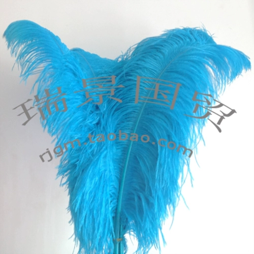 Эссенция полного снабжения толстых стержней, широковолосанные страусные перья 65-70, 70-75см.