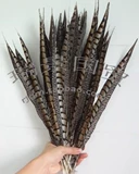 Импортная натуральная бронзовая курица -хвост -опер