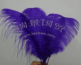 Южная Африка импортированные страусные волосы 45-50 см свадебные украшения DIY Peath