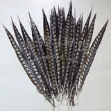 Импортная натуральная бронзовая курица -хвост -опер