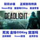 Steam Genuine Deadlight Global Key Activation Code