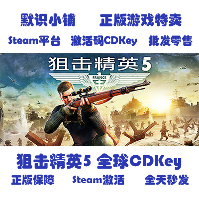Steam Genuine Sniper Elite 5 Global Cdkey Activation Code