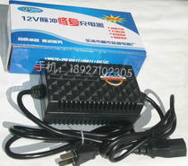 Electric sprayer charger intelligent anti-reverse electric sprayer rechargeable battery 12V5AH-20A