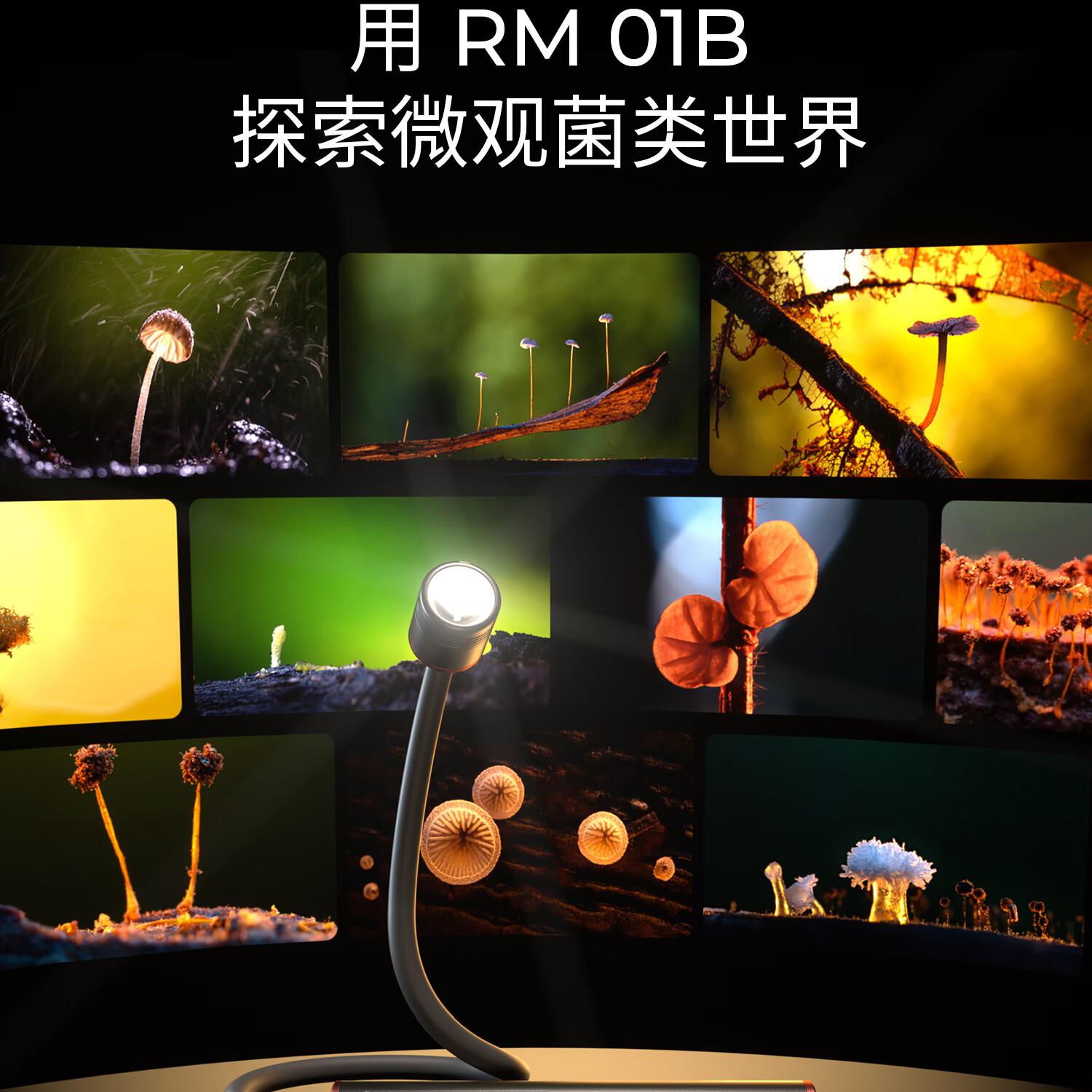 SmallRig 6225 RM 01B Mini Macro Photography LED Light 微距補光燈 圖文描述 04